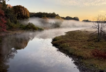 Thoreau the scientist – how environmental research informed ‘Walden’ and later works