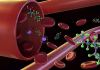 PFAS leave fingerprints in your blood – researchers are figuring out how forever chemicals transform in your body to read these clues