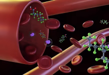 PFAS leave fingerprints in your blood – researchers are figuring out how forever chemicals transform in your body to read these clues