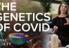 Genome sequencing is rewriting the history of disease outbreaks – but without social context, it can tell only part of the story
