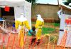 New Ebola outbreak in Congo kills more than 60
