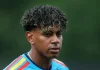 Yamal, Williams to be available for Spain’s opening World Cup match | World Cup 2026