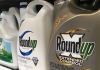 US Supreme Court scales back Roundup cancer lawsuits in victory for company | Courts News