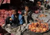 What Afghanistan’s rotten apples tell us about its non-profit sector | Poverty and Development