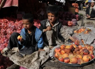 What Afghanistan’s rotten apples tell us about its non-profit sector | Poverty and Development