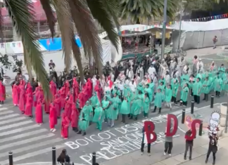 Activists form human Palestine flag at World Cup opener in Mexico City | Newsfeed