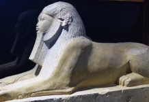 Who was the first transgender person?