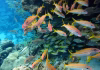 The world agreed to protect 30% of the ocean by 2030 – but marine protection can’t be judged by area alone