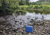 Fishing for DNA – how a cup of river water can reveal secrets about human health, pollution and biodiversity