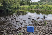 Fishing for DNA – how a cup of river water can reveal secrets about human health, pollution and biodiversity