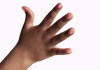 Why are our fingers different lengths?