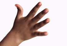 Why are our fingers different lengths?