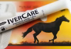 Ivermectin isn’t a cancer miracle drug, but influencers claim otherwise – here’s how to avoid sprinting past scientific evidence