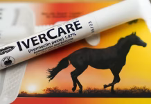Ivermectin isn’t a cancer miracle drug, but influencers claim otherwise – here’s how to avoid sprinting past scientific evidence