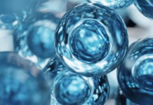 Creating synthetic life in a lab? SpudCell falls short of the goal, but raises even more useful questions