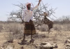 Africa’s Greater Horn region is facing a looming polycrisis fueled by conflict, prices, climate and disease