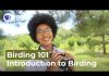 Flocking together – how a birding hobby may boost your mental health and build community