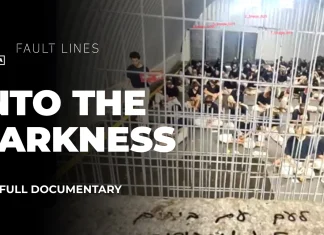 Into the Darkness | Crimes Against Humanity