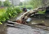 China prepares as Typhoon Bavi leaves Taiwan | News