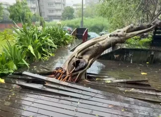 China prepares as Typhoon Bavi leaves Taiwan | News