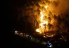 EU crisis chief urges tougher climate action amid France, Spain wildfires | Climate Crisis News