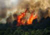 Climate change fuelled France and Spain wildfires, experts say