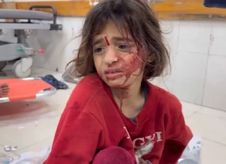 Lawyer says Israel’s targeting of Palestinian women is a form of genocide | Genocide