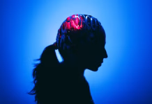 Quitting alcohol changes the brain and can increase the risk of compulsive drinking – new research in mice