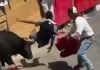 Man killed in world’s largest annual bullfighting event in Mexico | Newsfeed