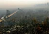 Belgium’s largest wildfire on record spreads towards German border | Climate News