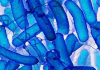 Learning without a brain – how bacteria store memories and remember the past like artificial neural networks