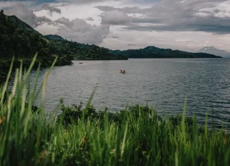 At least 12 dead and dozens missing after a vessel capsizes in DRC | Shipping News