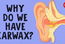 Earwax is both slippery and sticky – this weird combo might lead to safer insect repellents