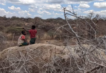 Hunter-gatherer societies are often put on a pedestal as paragons of equality – but the reality is more complicated