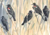 For centuries, bird migration was a mystery – a tech revolution is changing that, and could help save these amazing creatures
